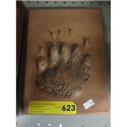 Cast model of a wild bear paw print