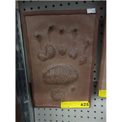 Cast model of a grizzly bear paw print