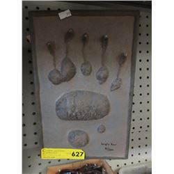 Cast model of a grizzly bear paw print