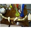 Image 1 : Bull Horns