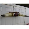 Image 1 : Large Bull Horn