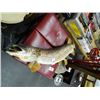 Image 1 : Fish Mount