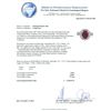 Image 3 : 14KT White Gold GIA Certified 3.84ct Ruby and Diamond Ring