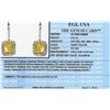 Image 4 : Platinum EGL USA Certified 2.44ctw Fancy Yellow Diamond Earrings