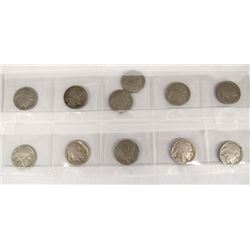 11 Buffalo Nickels