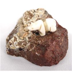 Northwest Coast Carved Bone Bear on Rock Specimen