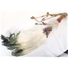 Image 3 : Plains Indian Feather Dance Fan