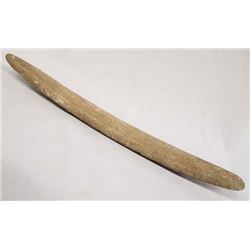 Prehistoric Anasazi Bone Tool