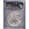 Image 1 : 2007-W AMERICAN SILVER EAGLE ICG SP-70 FIRST DAY OF ISSUE