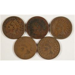 (5) 1882 INDIAN HEAD CENTS