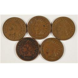 (5) 1909 INDIAN HEAD CENTS