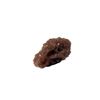 Image 1 : Falling Skies Espheni Pupa Movie Props