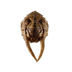 Falling Skies Skitter Head Movie Props