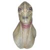 Image 1 : Falling Skies Fossilized Espheni Head Movie Props