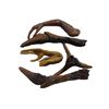 Image 1 : Falling Skies Blown Up Skitter Parts Movie Props