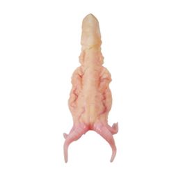 Falling Skies Harness Creature Movie Props