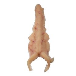 Falling Skies Harness Creature Movie Props