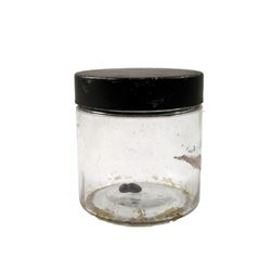 Falling Skies Season 5 Anne Glass-Mason (Moon Bloodgood) "Wasper" Jar w/ Mutated DNA-Bouillabaisse W