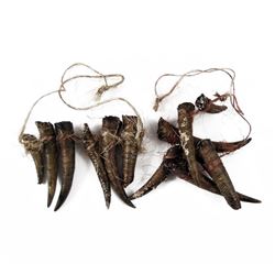 Falling Skies Anthony (Mpho Koaho) Skitter Necklaces Movie Props