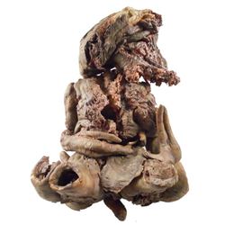 Falling Skies Charred Skitter Movie Props