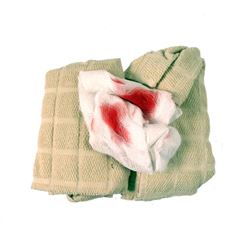 Falling Skies Season 5 Farmhouse Movie Props