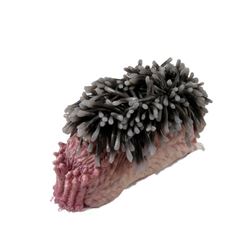 Falling Skies Bloom Creature Movie Props