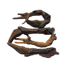 Falling Skies Blown Up Skitter Parts Movie Props