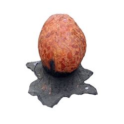 Falling Skies Season 5 Alien Egg Movie Props