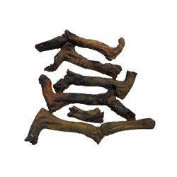 Falling Skies Blown Up Skitter Parts Movie Props