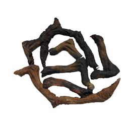 Falling Skies Blown Up Skitter Parts Movie Props