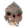 Image 2 : Falling Skies Burnt Skitter Head Movie Props