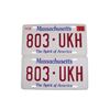 Image 1 : Falling Skies Denny (Megan Danso)  Massachusetts License Plates Movie Props