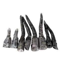 Falling Skies Set of 8 Skitter Finger Extensions Movie Props