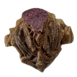 Falling Skies Skitter Head Stump Movie Props