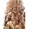 Image 2 : Falling Skies Burnt & Dismembered Skitter Movie Props