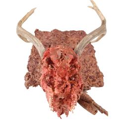 Falling Skies Deer Remains Movie Props