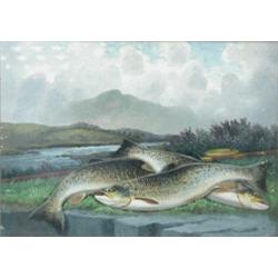 James B Russell (exh. 1887) Salmon and Brown Trout, oils on board, signed, 25.5 x 36cm, a pair (2)..