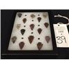 Image 2 : Arrowhead Display