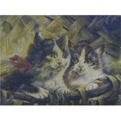 COOPER, A.J,  c.1900, portrait of two black and white kittens in a basket, oils on board, signed ...