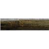 Image 10 : AUTOGRAPHED CRACKED BAT - 18 UNIDENTIFIED SIGNATURES - LOUISVILLE SLUGGER