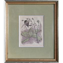 James Dexter Havens, Chicadee and Mullein, Woodcut