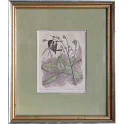 James Dexter Havens, Chicadee and Mullein, Woodcut