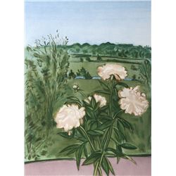 Jane Freilicher, Peonies (Color), Aquatint Etching