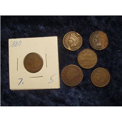 101. (5) Indian Cents and a Liberty Nickel dating back to 1880.