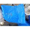 Image 1 : TARP BLUE - 1