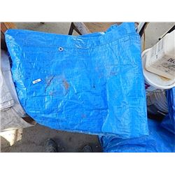 TARP BLUE - 1