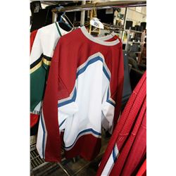 GROUP OF 3 PROFESSIONAL HOCKEY SPORTS JERSEYS