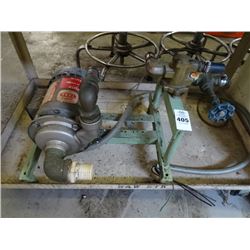 Teel Rotary Pump