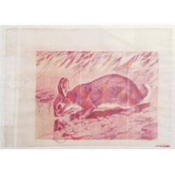 JOSEPH BEUYS (1921 - 1986) Amerikanischer Hasenzucker, Farboffset auf Karton, gestempelt. H...