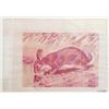 Image 1 : JOSEPH BEUYS (1921 - 1986) Amerikanischer Hasenzucker, Farboffset auf Karton, gestempelt. H...